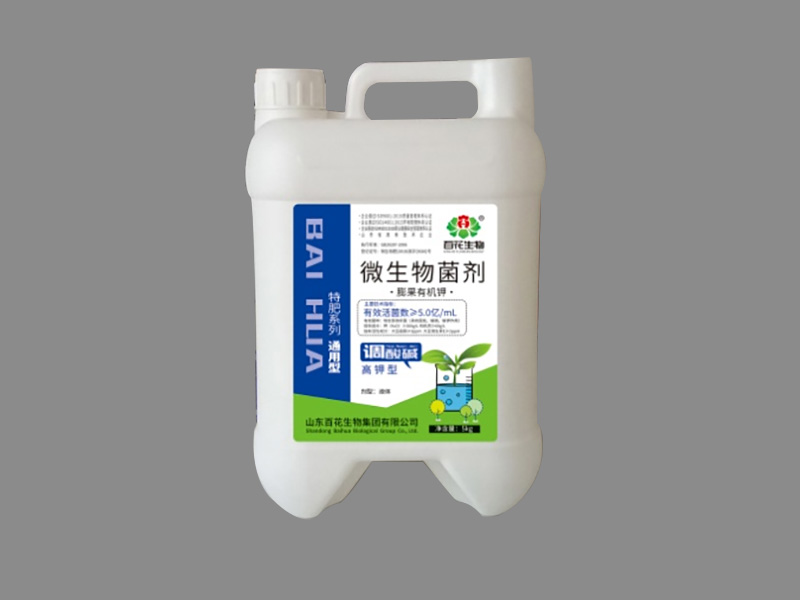 微生物菌剂-膨果有机钾